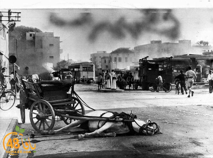 yaffa darama 1948 (8).jpg